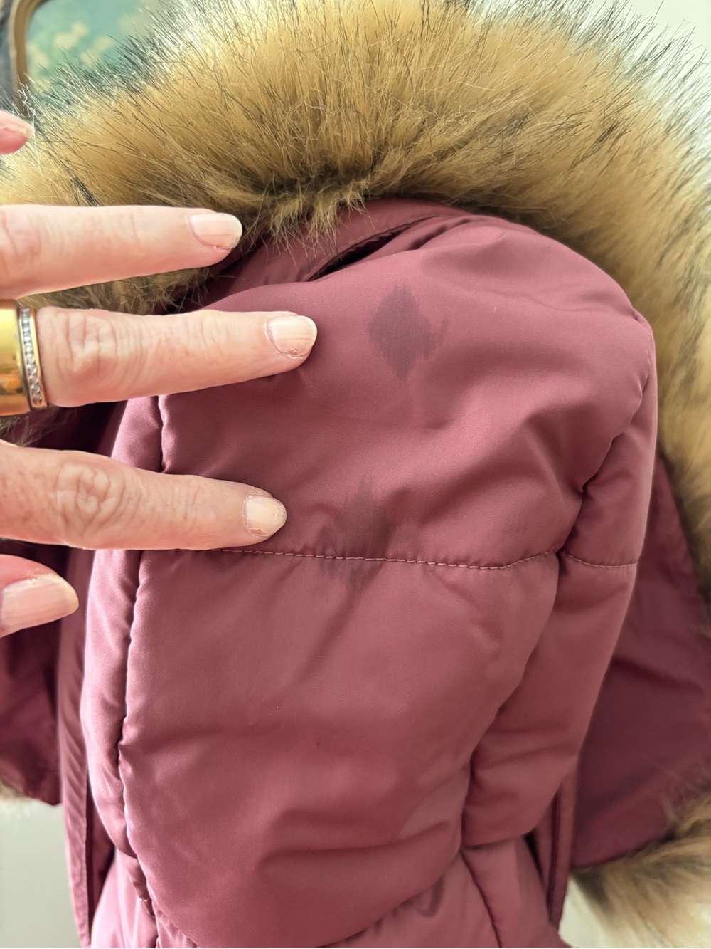 The North Face Gotham Hooded Down Jacket in Wild Ginger Mauve Size S - Picture 8 of 16